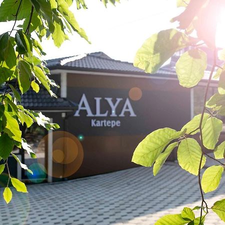 Alya Kartepe Villa Hotel كوجايِلِ المظهر الخارجي الصورة
