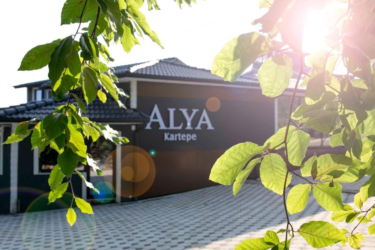 Alya Kartepe Villa Hotel كوجايِلِ المظهر الخارجي الصورة